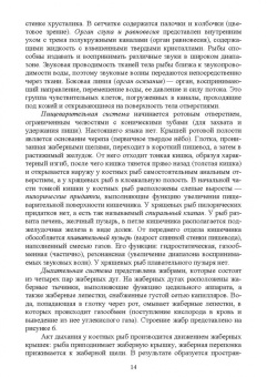 Гизатуллина, Макарова, Чернышова: Позвоночные животные. Учебное пособие
