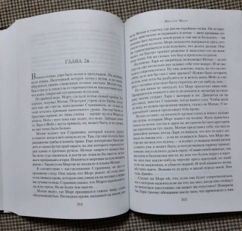 Роберт Маккаммон: Мистер Морг