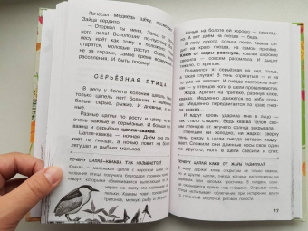 Николай Сладков: Лесные тайнички