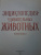Сэми Бэйли: Энциклопедия удивительных животных