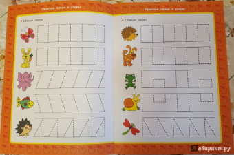 Валентина Дмитриева: Простые линии и узоры