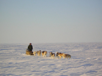 Владимир Эйснер: Жить не обязательно