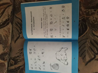 Галина Битно: Слоговые ребусы. Словарные головоломки для начальной школы