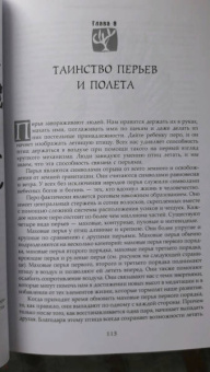 Тэд Эндрюс: Определи свой тотем. Полное описание магических свойств животных, птиц и рептилий