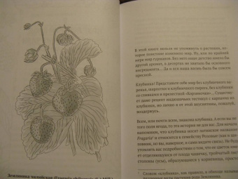 Катя Астафьефф: Невероятные приключения растений-путешественников