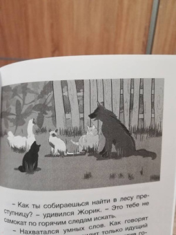 Олег Надточей: Кот, собака и гусь