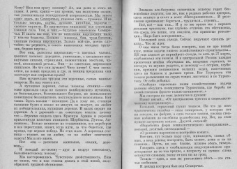 Дмитрий Фурманов: Мятеж