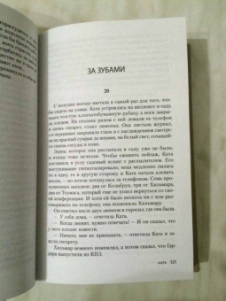Стейнар Браги: Ката