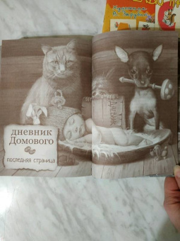Евгений Чеширко: Дневник Домового