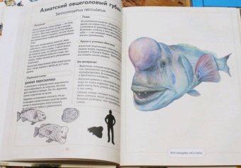 Сэми Бэйли: Энциклопедия удивительных животных