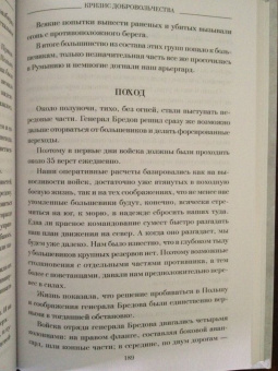 Борис Штейфон: Кризис добровольчества. Бредовский поход