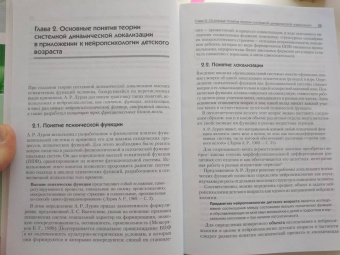 Юрий Микадзе: Нейропсихология детского возраста. Учебное пособие