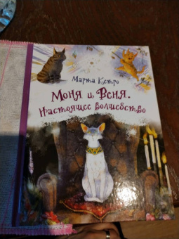 Марта Кетро: Моня и Веня. Настоящее волшебство