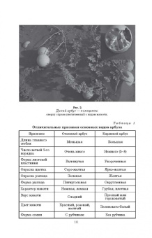 Медведев, Михальков, Мищенко: Бахчеводство. Практикум. Учебное пособие. СПО