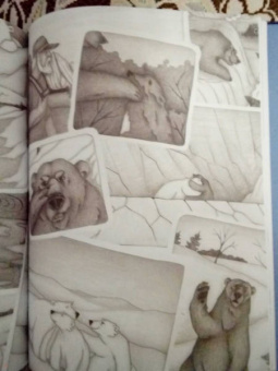 Юлия Мартыщенко: Медвежонок Фёдор. Путь домой