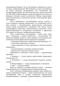 Инна Воскобойникова: Дендрология. Часть 2. Дендрохарактеристика изучаемых видов. Голосеменные. Учебное пособие