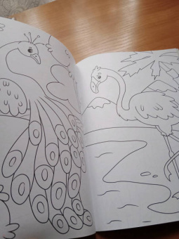 Раскраска "В зоопарке", А4