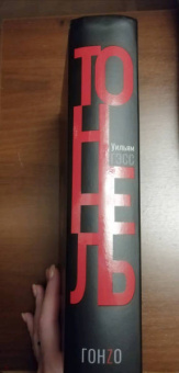 Уильям Гэсс: Тоннель