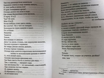 Велимир Хлебников: Страна из серебра