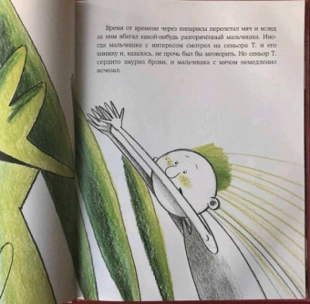 Ольга Сафронова: Арбузная голова. Сказка из городского парка