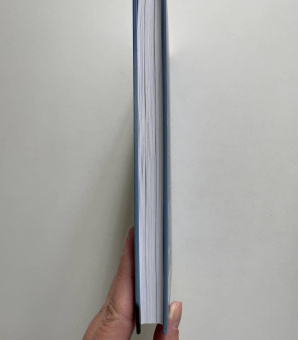 Боссе, Плаук: Insight. Мартин Гор - человек, создавший Depeche Mode