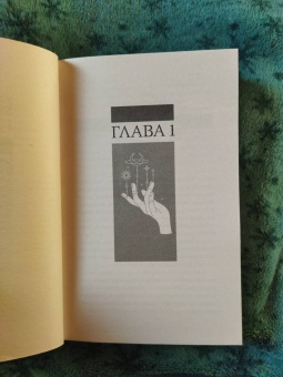 Руби Диксон: Варвар-пришелец