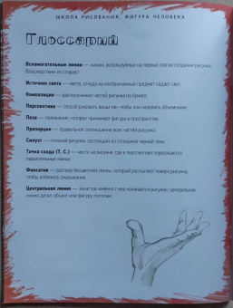 Марк Берджин: Школа рисования. Фигура человека