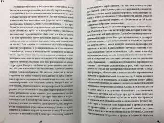 Станислав Дробышевский: Почему жирафы не стали людьми и другие вопросы эволюции