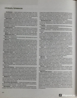 Скалдина, Слиж: Большая Красная книга (стерео-варио) 3D-обложка