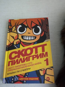 Брайан О`Мэлли: Скотт Пилигрим и его маленькая прекрасная жизнь