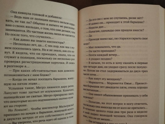 Жорж Сименон: Мегрэ и привидение