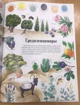 Седлачкова, Секанинова: Цвета окружающего мира