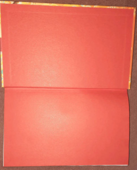 Сью Тань: Сердце Солнечного воина