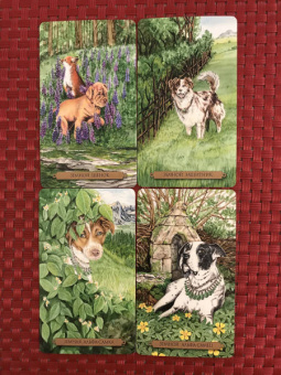 Мюллер, Курара: Таро магических собак + Таро Театр кукол (6080)