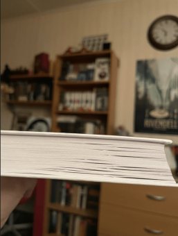 Роберт Мамиконян: Хроники ассоциации