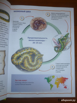 Моя первая книга о животных