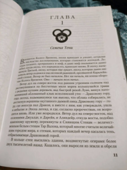 Роберт Джордан: Колесо Времени. Книга 4. Восходящая Тень