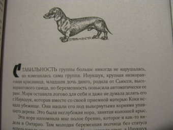 Элизабет Томас: Собаки и тайны, которые они скрывают. Легендарный бестселлер о сознании, поведении и привычках