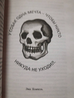 Чак Паланик: На затравку