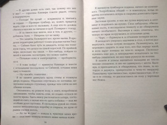 Амелия Хатчинс: Пламя хаоса