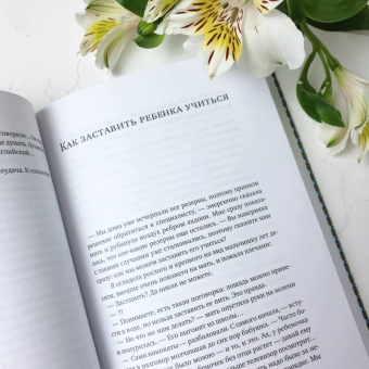 Екатерина Мурашова: Любить или воспитывать