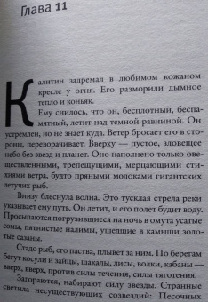 Сергей Лебедев: Дебютант
