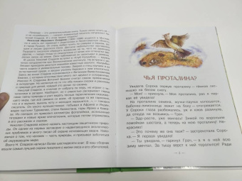 Николай Сладков: Бюро лесных услуг