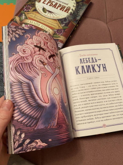 Майя Толл: Магический бестиарий. Вдохновляющие послания и ритуалы от 36 волшебных животных 36 карт и книга