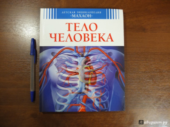 Буэ, Симон: Тело человека
