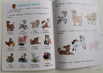 Ирина Шестакова: Домашние животные