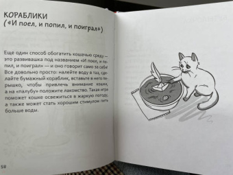 Анна Орлова: Самяучитель. Как правильно играть с кошкой