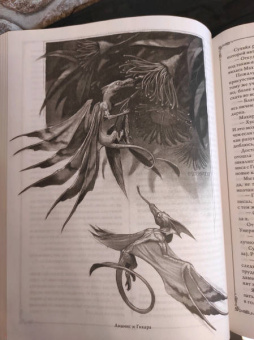 Мари Бреннан: Естественная история драконов. Омнибус