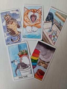 Котт Линн: Cat Tarot. Таро Котиков, 78 карт и руководство в подарочном футляре