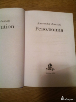Дженнифер Доннелли: Революция